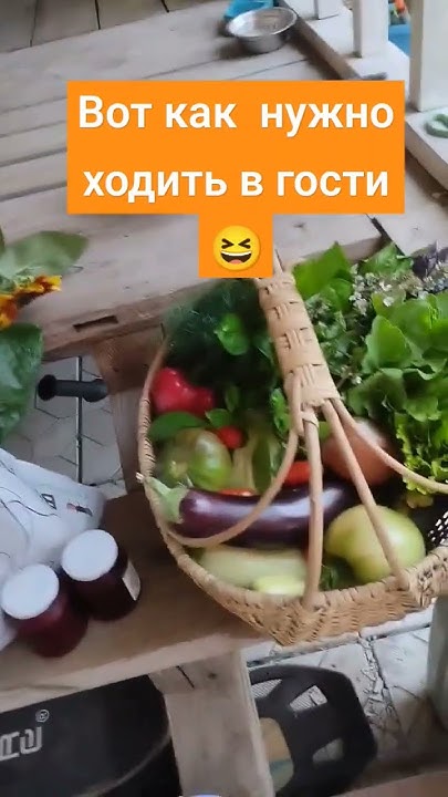 Да не оскудеет рука дающего#живаявода #преобразователь #бизнес #travel ...