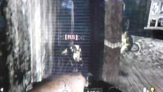 Call of duty world at war wii Dog Glitch At Upheaval
