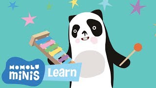 MOMOLU MINIS - How To Play the Xylophone 🎶| Learning for Kids