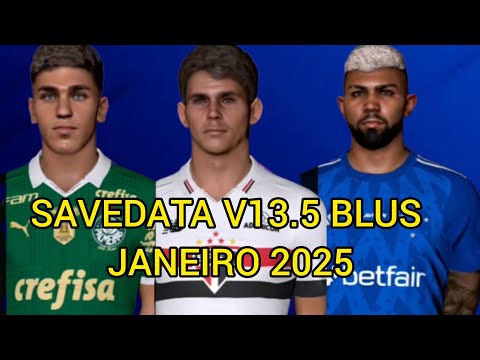 SAVEDATA V13.5 BLUS