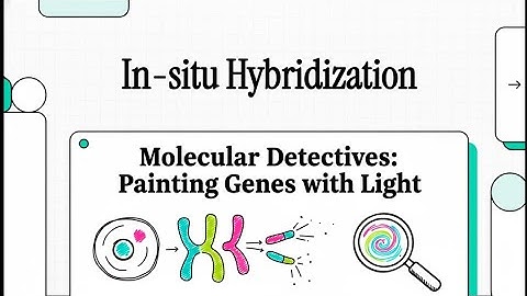 In-situ Hybridization