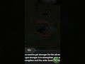 CHAOS WORLD - Gameplay (Android, IOS)