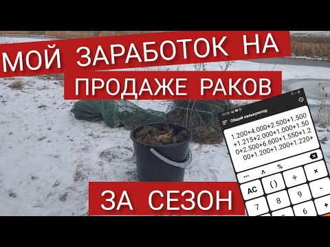 СКОЛЬКО Я ЗАРАБОТАЛ НА ПРОДАЖЕ РАКОВ ЗА СЕЗОН??