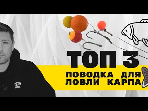 Видео: Лучшие секреты карповой рыбалки: ТОП 3 монтажа! #карпфишинг