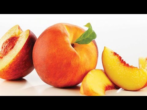 მყნობა. ქლიავის, ატმის და გარგრის საძირეები