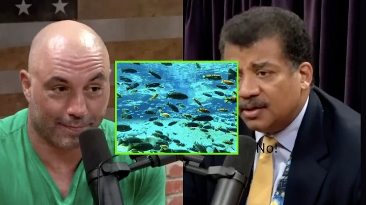 JOE ROGAN TRIED TO CORRECT NEIL TYSON "ITS FISH NOT FISHES!!!