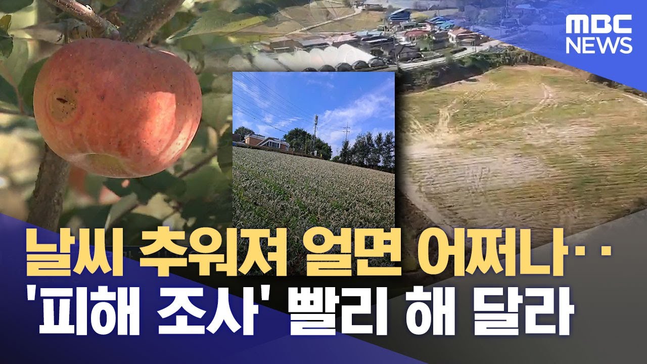 인접 지역까지 피해 확산.. 