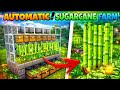 I Built the Fastest Sugarcane Farm in Minecraft 1.20+ MCPE | Minecraft Bedrock | Minecraft Hindi