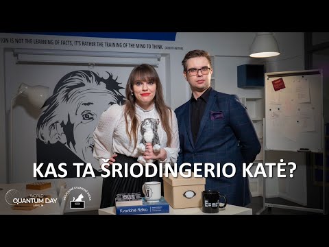 Video: Ar katė yra žurnale?