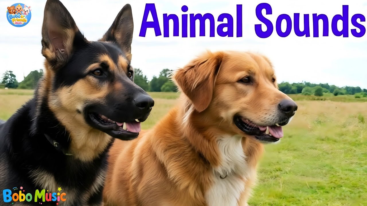 80+ Cute Animals Sounds for Kids | Learn Farm & Wild Animal Sounds | Toddler Learning Video