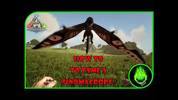 ARK: LOST ISLAND - HOW TO TAME A SINOMACROPS!