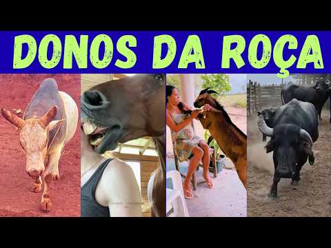 FAUNA RURAL: o lado sombrio e curioso dos verdadeiros donos da roça!