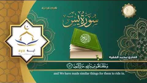 سوره يس بصوت القارئ محمد الفقيه #كلام_رب_العالمين#شارك_تؤجر