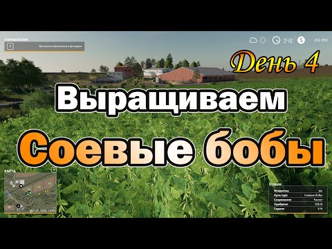 Видео: Как хранятся соевые бобы?