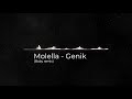 Molella Genik Baby Remix 