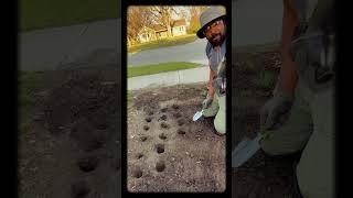 🛠️#garden #gardeningtips #plants #plantation #homedepot #shorts #gardentools #tools #tips #soil #yt
