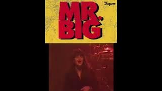 Mr. Big - NOTHING BUT LOVE