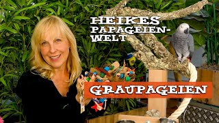 FAQ über die tiergerechte Privathaltung von Graupapageien  von und mit Heike Mundt