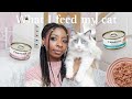 Healthy Cat food haul | 2024🌸🐈🌱