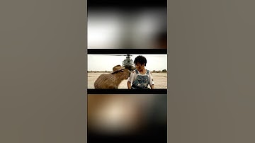 Capybara thông minh cứu bé khỏi vụ nổ trực thăng #trending #capybara #funny #ytshorts #ai