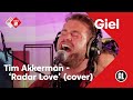 Tim Akkerman - Radar Love (Golden Earring cover) | NPO Radio 2