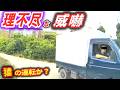 【ドラレコ】「俺が優先！」上り坂のルールを無視して突っこんできた軽トラ / 停車中のバスに執拗な“鬼クラ”を浴びせる謎の白車 / 信号無視で車道から右折したノーヘル自転車の末路【危険予知トレーニング】