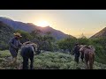 Arrieros de Codegua - Arriba en la Cordillera