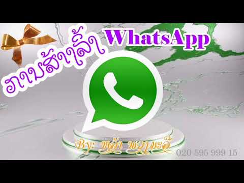 วีดีโอ: ฉันจะหาลิงก์กลุ่ม WhatsApp ได้ที่ไหน