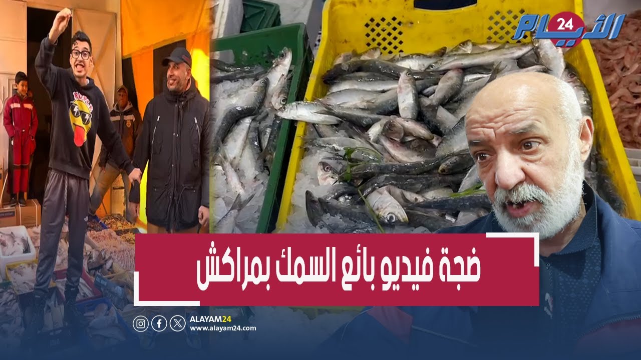 بعد ضجة فيديو بائع السمك بمراكش.. مهني يفضح المستور: 