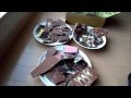 楽天の割れチョコミックス買ってみた