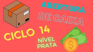 ABERTURA DE CAIXA CICLO 14 NATURA- PEDIDO LUCRATIVO NÍVEL PRATA COM 91 PONTOS #ciclo14