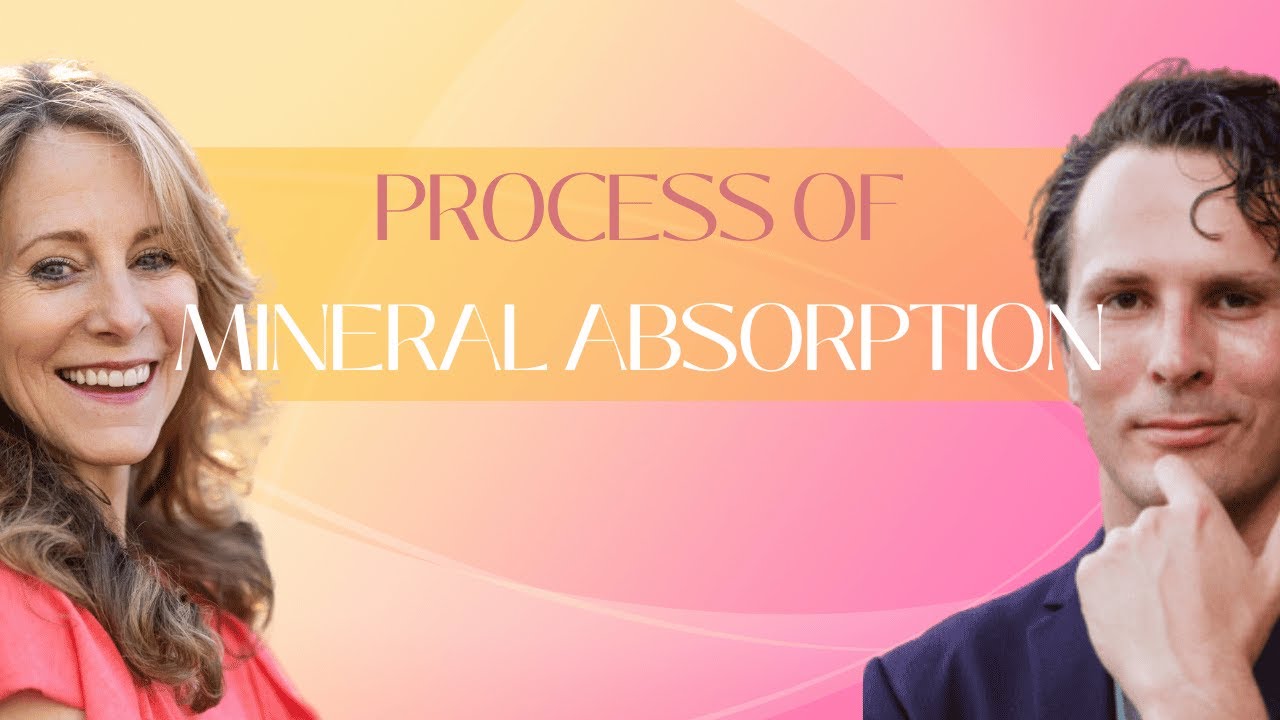 The Critical Process of Mineral Absorption with Barton Scott | Wellness Sherpa