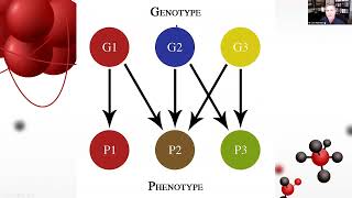 Gene Repair | Dr Jon Harmon DC