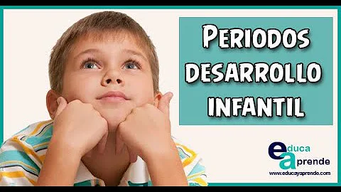 ¿Cuál de los 3 periodos prenatales es el más crítico y sensible?