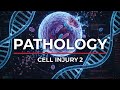 Cell injury 2 🗡