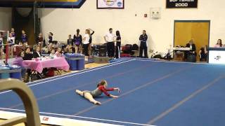 States 2010- Floor Routine Wealth