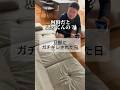 そんなに怒らなくて良くない？でも愛は認める。のサムネイル