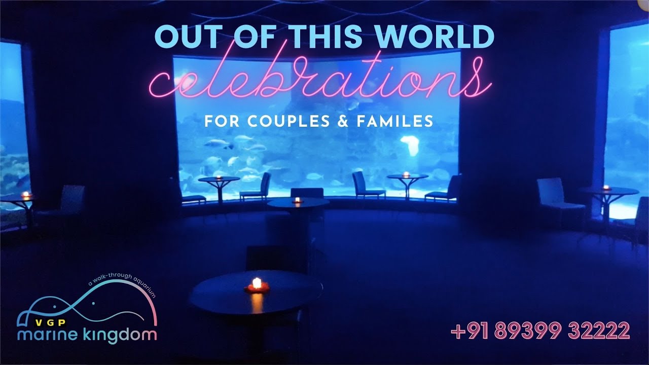 Private Underwater Dining & Weddings @ VGP Marine Kingdom | Out of this World Celebrations