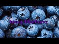 Young blueberry my first album