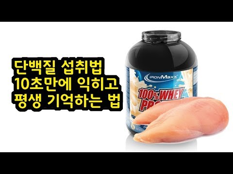 단백질 섭취법 10초만에 익히고 평생 기억하는 법