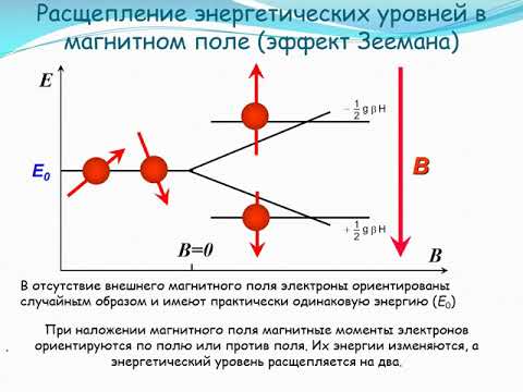 Video: EMT өткөргүч кандай көрүнөт?