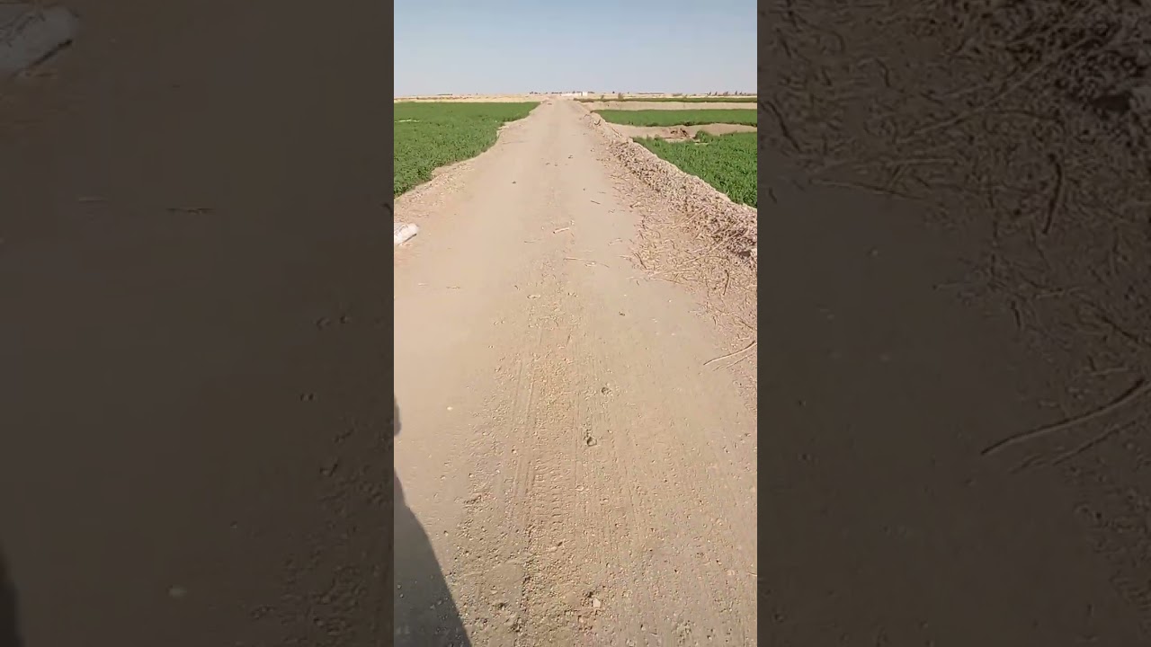 بسم الله ماشاء الله.. 43.فدان للبيع مزروعه برسيم بي الكامل حاجه من النوادر..ماشاء الله ربنا يبارك👌🏿