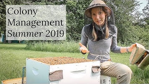 Colony Management Summer 2019