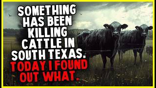 Something Has Been Killing Cattle In South Texas. Today I Found Out What.