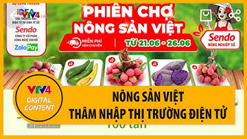 Hàng loạt nông sản Việt thâm nhập thị trường điện tử | VTV4