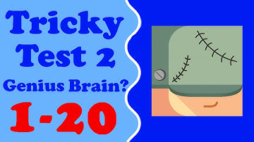 Tricky Test 2™: Genius Brain? level 1-20