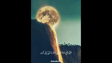 تلاوة هادئة تریح القلب والعقل... القارئ دلشاد احمد / مقاطع واتس اب.