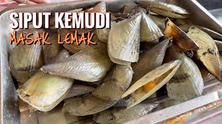 Siput kemudi