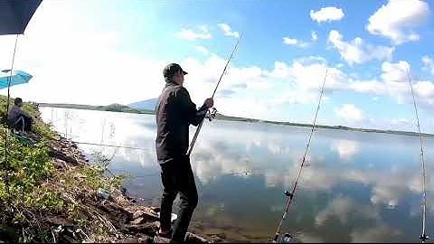 Câu Cá Mè ở Hồ Tự nhiên | Câu Lăng Xê #128