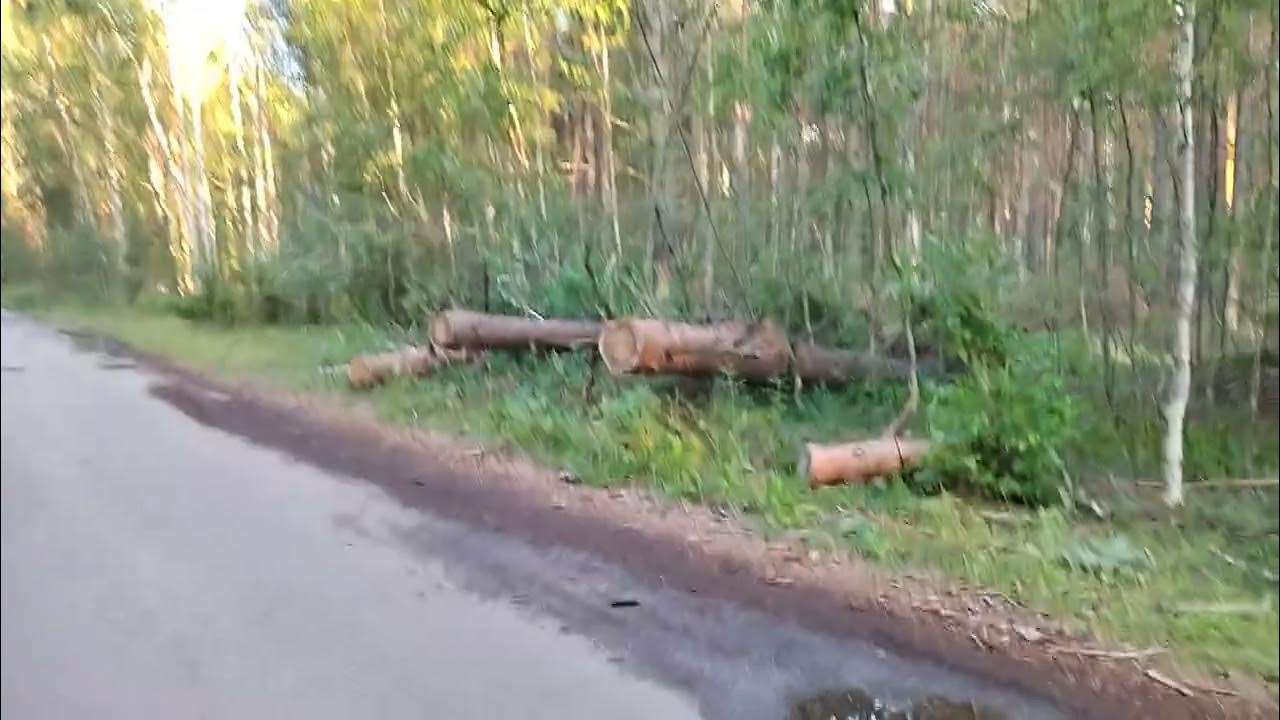 Жесть, короче - YouTube